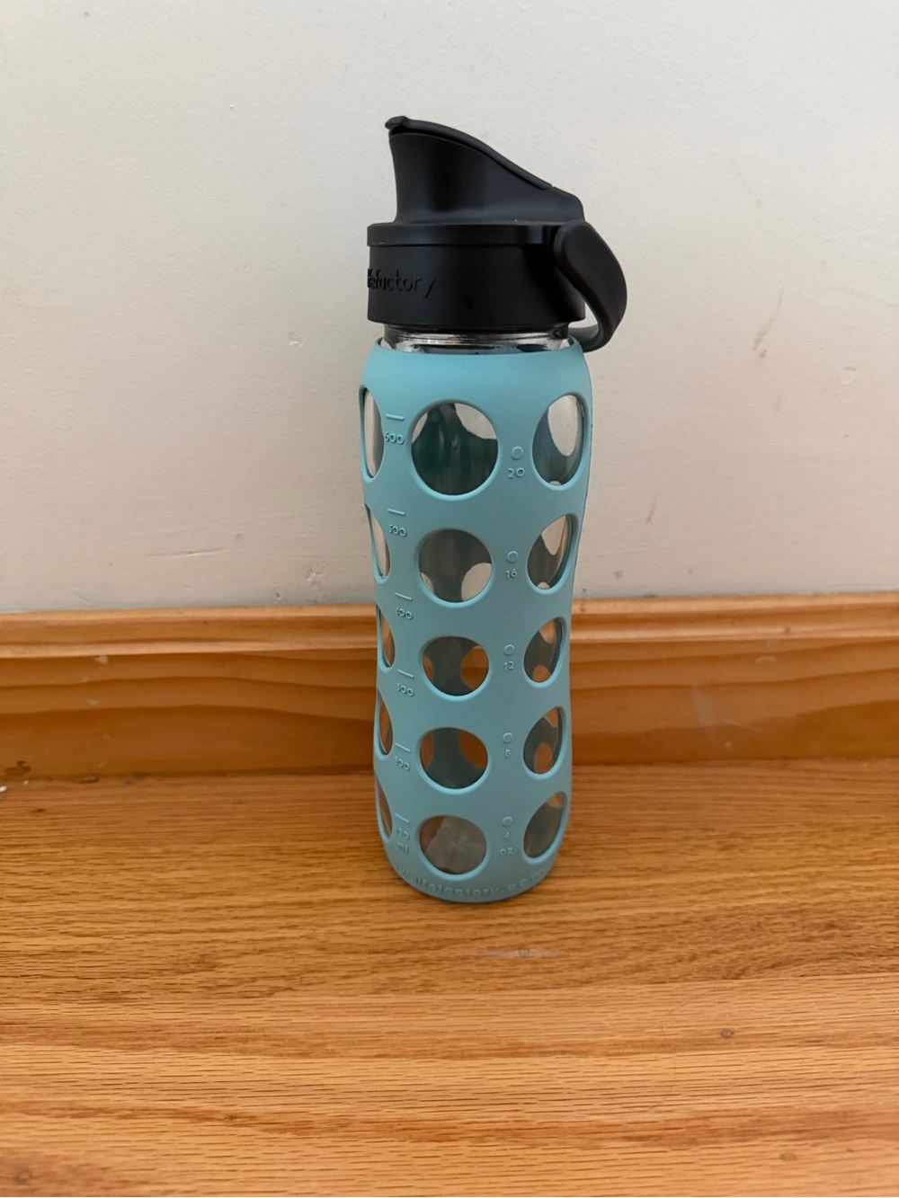 Glass Water Bottle with Aqua Silicone Sleeve and Black Flip Cap